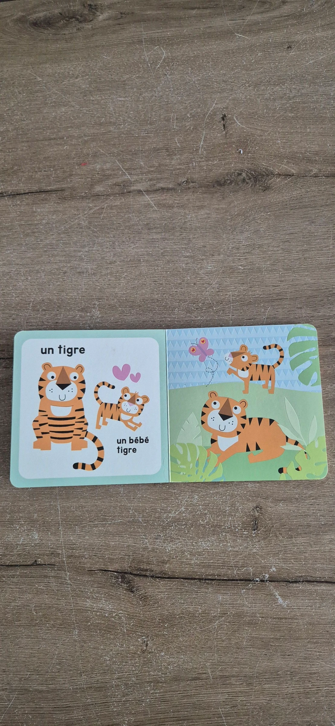 Libro Madres y bebés animales – photo 4